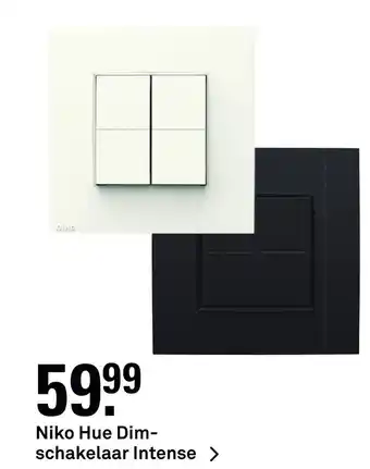 Karwei Niko Hue Dim- schakelaar Intense aanbieding