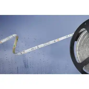 Conrad Barthelme basic 51540434 51540434 led-strip met open kabeleinde 12 v 5 m koudwit aanbieding