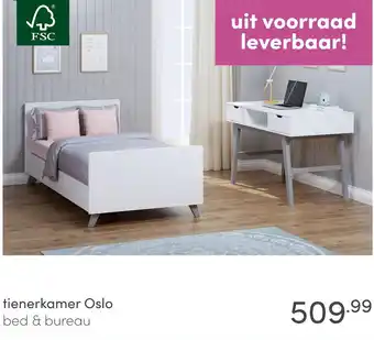 Baby & Tiener tienerkamer Oslo aanbieding