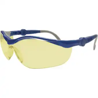 Conrad L+d upixx 26751 veiligheidsbril blauw, grijs din en 166-1 aanbieding