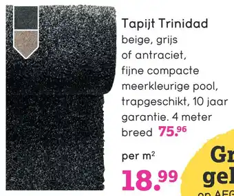 Leen Bakker Tapijt Trinidad aanbieding