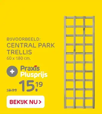 Praxis Central Park Trellis aanbieding