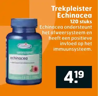 Trekpleister Trekpleister Echinacea aanbieding