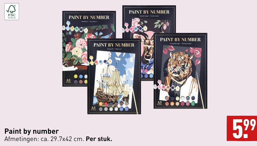 Paint by number aanbieding bij ALDI