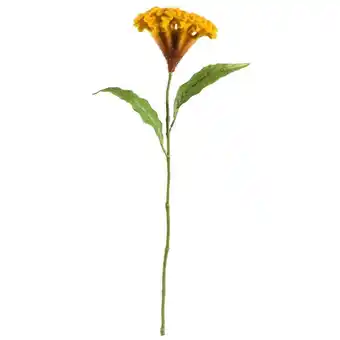 Leen Bakker Kunstbloem celosia - geel - 62 cm - leen bakker aanbieding