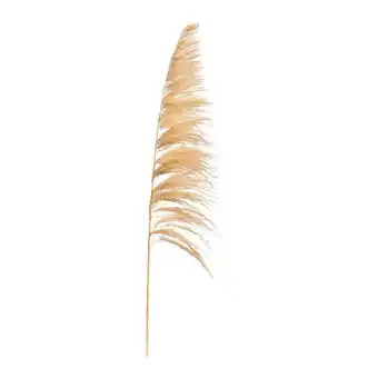 Leen Bakker Pampas pluim sem - beige - 160 cm - leen bakker aanbieding