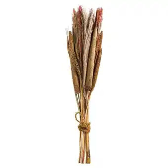 Leen Bakker Droogbloemen boeket pluim babala - terracotta - 70 cm - leen bakker aanbieding