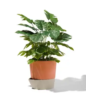 HEMA Hema zelfwaterende bloempot ø18x18 aanbieding