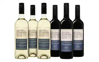 Wijnvoordeel Wijnpakket picadora sauvignon blanc & merlot aanbieding