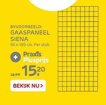 Praxis Gaaspaneel Siena 90 X 180 Cm aanbieding