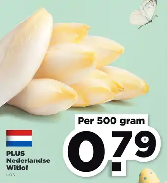 PLUS PLUS Nederlandse witlof 500gram aanbieding