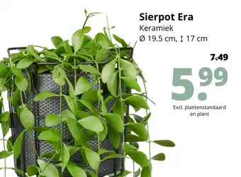 GroenRijk Sierpot era aanbieding