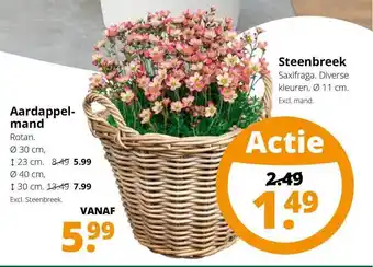 GroenRijk Aardappelmand of steenbreek aanbieding