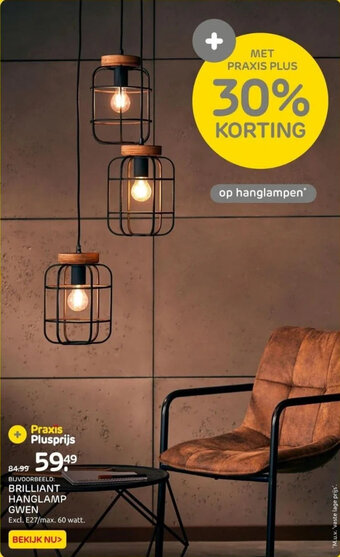Praxis BRILLIANT HANGLAMP GWEN aanbieding