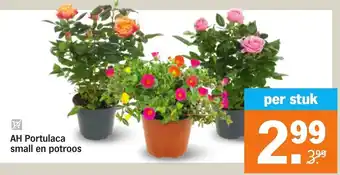 Albert Heijn AH Portulaca small en potroos per stuk aanbieding