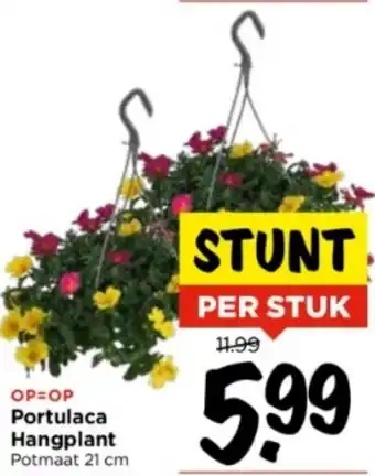 Vomar Voordeelmarkt Portulaca Hangplant Potmaat 21 cm aanbieding