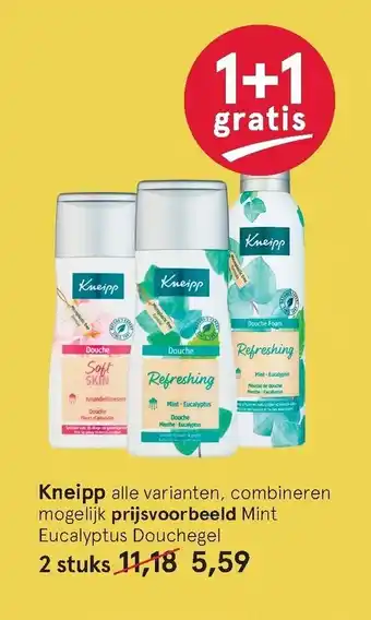 Etos Kneipp Alle Varianten, Combineren Mogelijk Prijsvoorbeeld Mint Eucalyptus Douchegel 2 stuks aanbieding