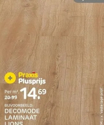 Praxis Bijvoorbeeld: decomode laminaat lions aanbieding