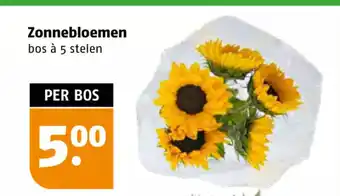 Poiesz Zonnebloemen bos à 5 stelen aanbieding