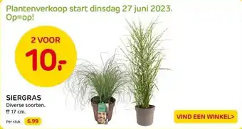 Praxis Siergras aanbieding