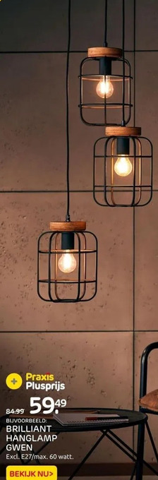 Praxis Brilliant hanglamp gwen aanbieding