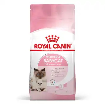 Zooplus 4kg mother & babycat royal canin kattenvoer aanbieding