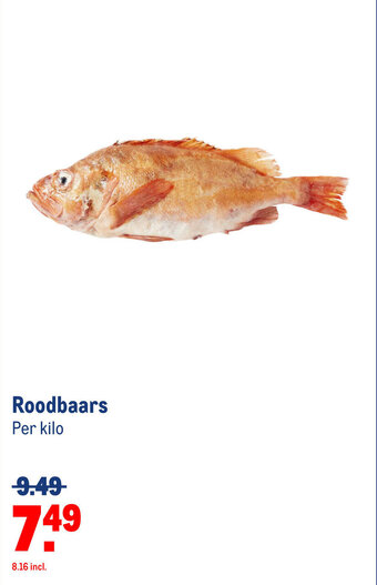 Makro Roodbaars aanbieding