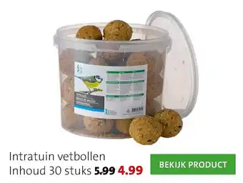 Intratuin Intratuin vetbollen 30 stuks aanbieding