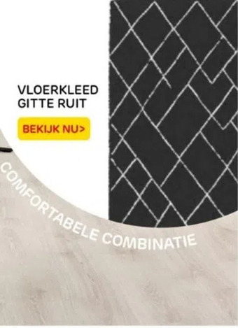 Praxis Vloerkleed gitte ruit aanbieding