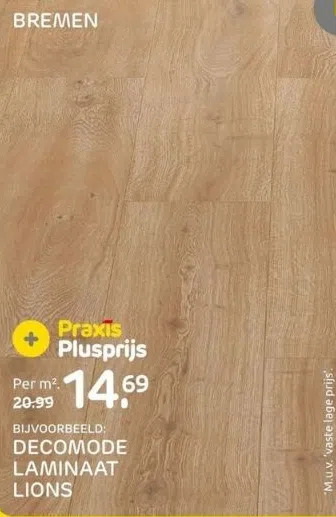Praxis Bijvoorbeeld: decomode laminaat lions aanbieding