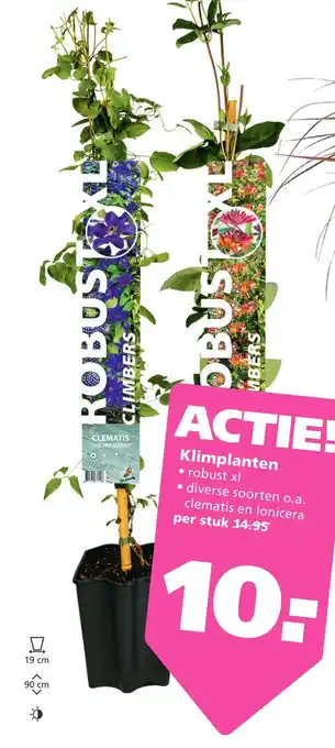 Ranzijn Klimplanten aanbieding