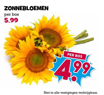 Boon`s Markt Zonnebloemen aanbieding