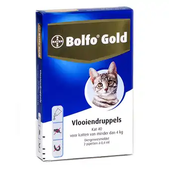 Zooplus Bolfo gold 40 voor katten tot 4kg 2 pipetten aanbieding