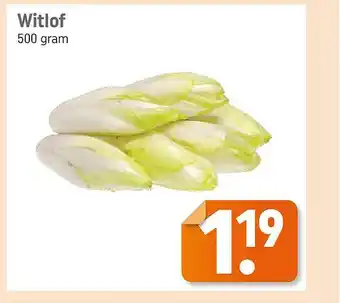 Dagwinkel Witlof aanbieding