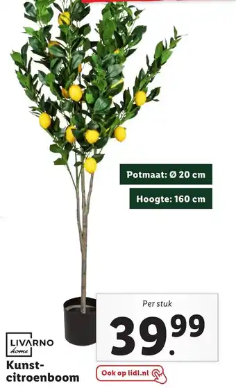 Lidl LIVARNO home Kunst-citroenboom aanbieding