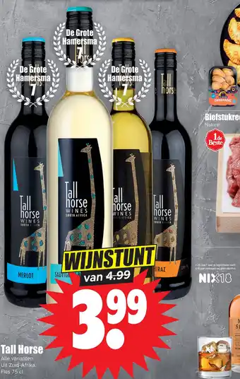 Dirk Tall horse aanbieding