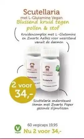 De Rode Pilaren Scutellaria aanbieding