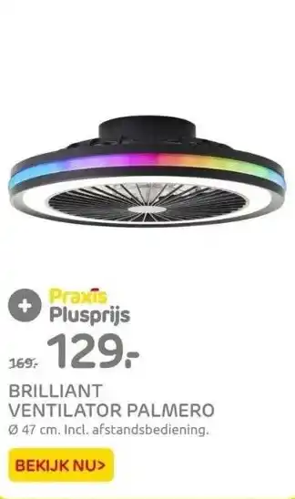 Praxis Brilliant ventilator palmero aanbieding