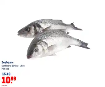 Makro Zeebaars aanbieding
