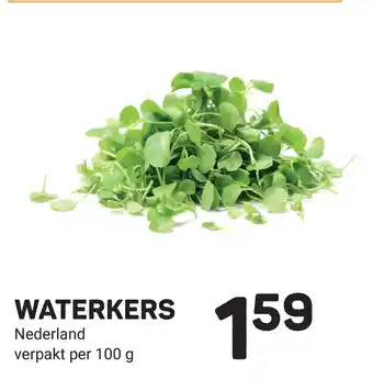 Ekoplaza Waterkers aanbieding