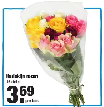 ALDI Harlekijn rozen 15 st aanbieding