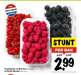 Vomar Voordeelmarkt Frambozen of Bramen 225 gram of Rode Bessen 300 gram aanbieding