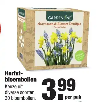 ALDI Herfstbloembollen aanbieding