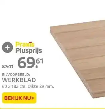 Praxis Werkblad aanbieding