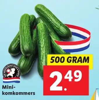 Lidl Mini- komkommers 500 GRAM aanbieding