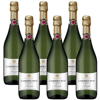 Albert Heijn Lambrusco bianco aanbieding