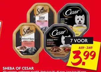 Dekamarkt Sheba of cesar aanbieding