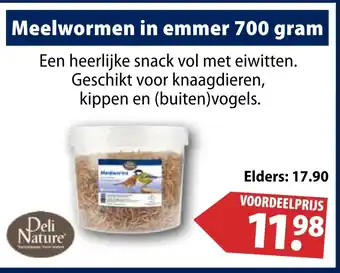 Huisdier Voordeelshop Meelwormen in emmer 700 gram aanbieding