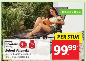 Lidl LIVARNO home Ligbed Valencia aanbieding