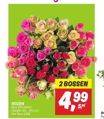 Dekamarkt ROZEN Bos 10 stelen. Lengte 35 - 40 cm. Per bos aanbieding